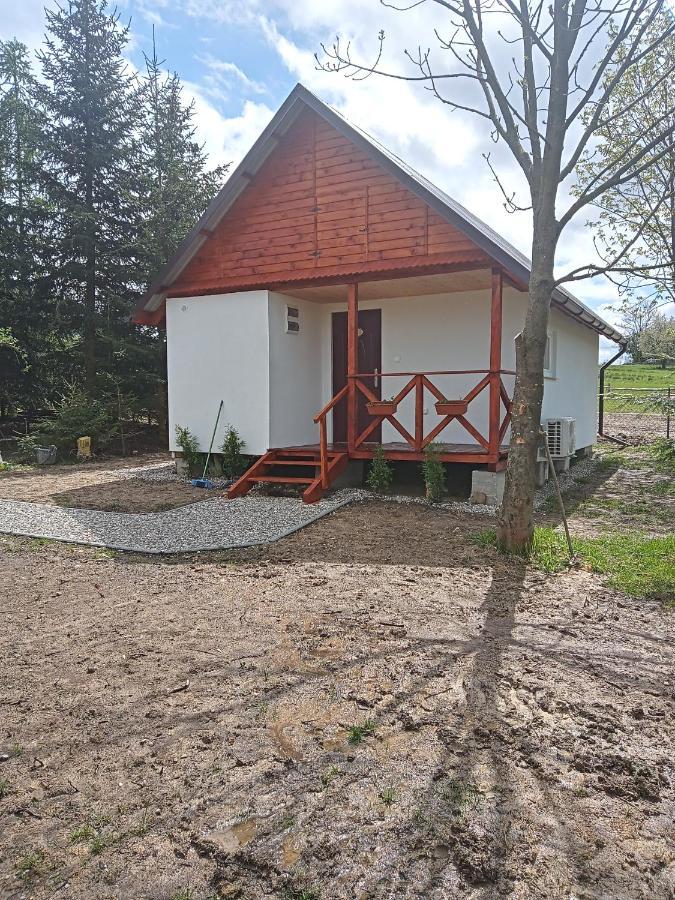 Agroturystyka Pod Sniezna Bystrzyca Kłodzka Buitenkant foto